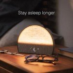 Hatch Restore 2 Smart Sunrise Alarm Clock