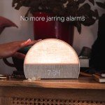 Hatch Restore 2 Smart Sunrise Alarm Clock