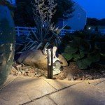 LEONLITE LED Outdoor Pathway Lights, Pack of 10