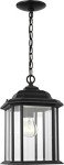 Sea Gull Outdoor Pendant Light - One Light