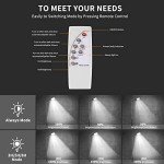 6-Pack Solar LED Outdoor Street Lights with Sensor