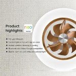 Smart Low Profile Ceiling Fan with LED Light