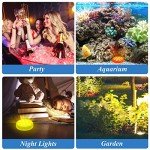 Rechargeable RGB Pool Lights with Remote – 2 Pack