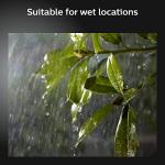 Philips Hue Outdoor Ambiance Pedestal Light - Black