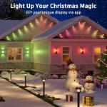 Outdoor Smart String Lights with Dimmer & WiFi