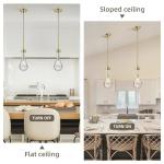 Gold Hand-Blown Glass Pendant Light Fixture