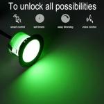 RGBW LED Decking Lights with WiFi Controller - 30 Pack