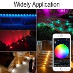 RGBW WiFi LED Decking Lights - 50 Pack