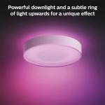Philips Hue Smart Color Ceiling Light - Large