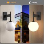 Large Outdoor Wall Sconce with Globe Glass
