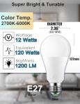 Smart Color Changing E27 LED Bulbs (2 Pack)
