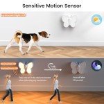 Dimmable Butterfly LED Night Light - 2 Packs