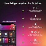 Philips Hue Lily Outdoor Smart Light Kit - 3