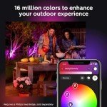 Philips Hue Lily Outdoor Smart Light Kit - 3