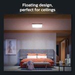 Philips Hue Smart Square Panel Light, Color & White