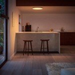 Philips Hue Smart LED Round Panel Light