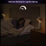 Philips Hue Twilight Smart Sleep & Wake Lamp