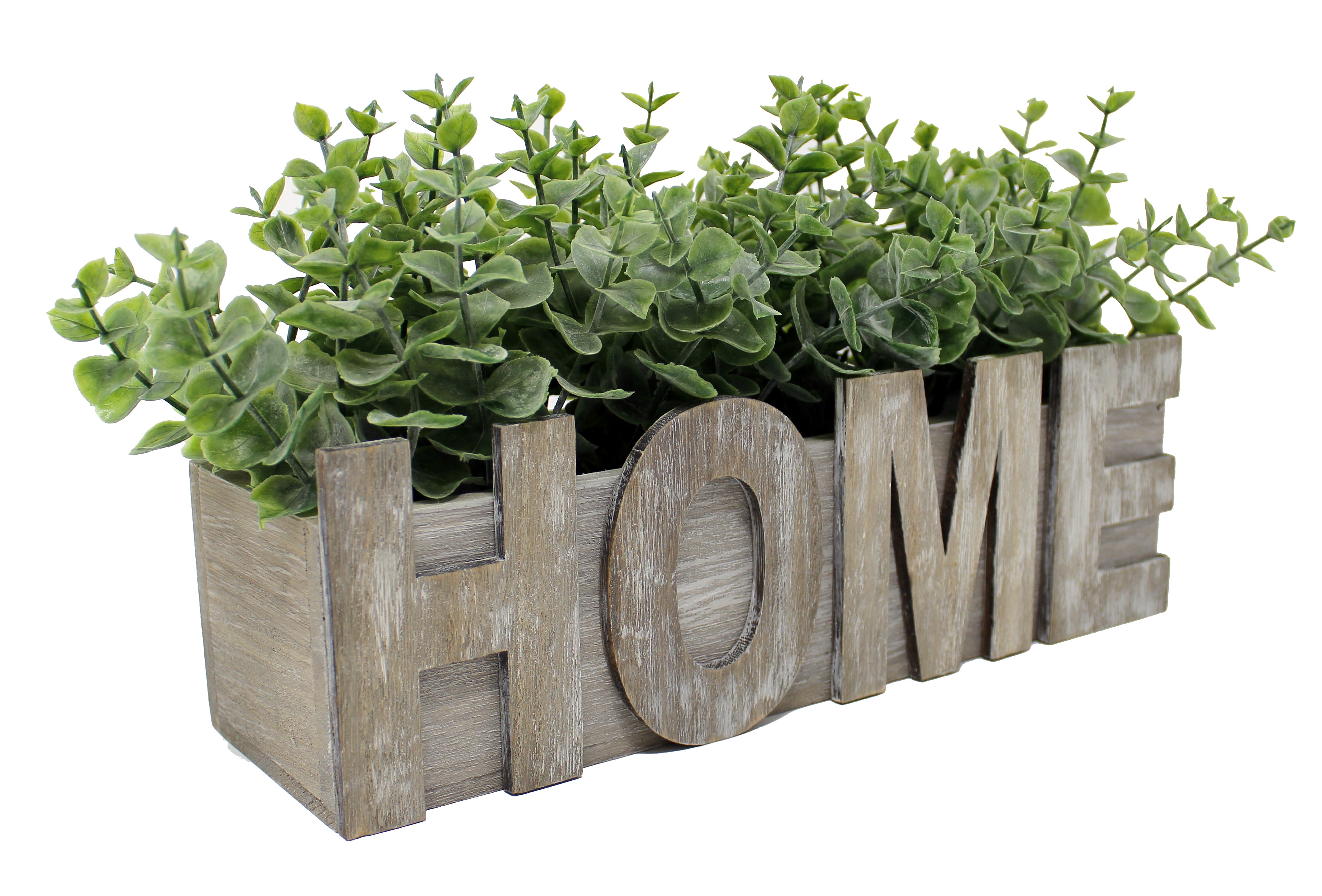 Eucalyptus Greenery Plant in Grey Wood Box