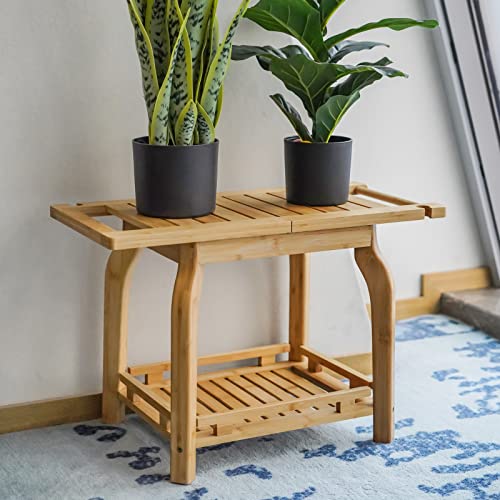 Bamboo 2-Tier Shower Bench with Storage Shelf