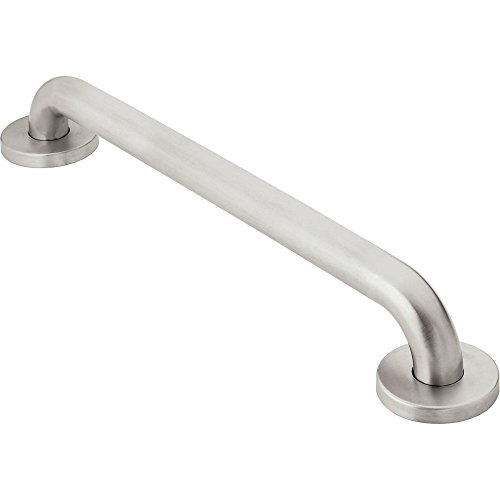 12-Inch Peened Textured Stainless Steel Bathroom Grab Bar