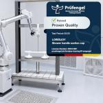 LORESJOY 12" Suction Grab Bars for Slippery Bathtubs