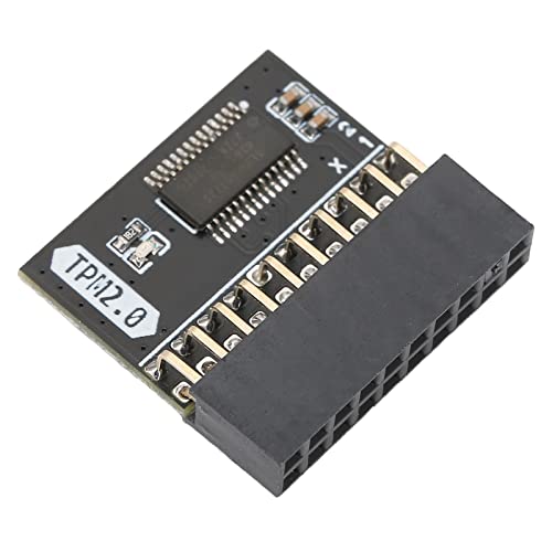 Standalone TPM 2.0 Encryption Security Module for Win11