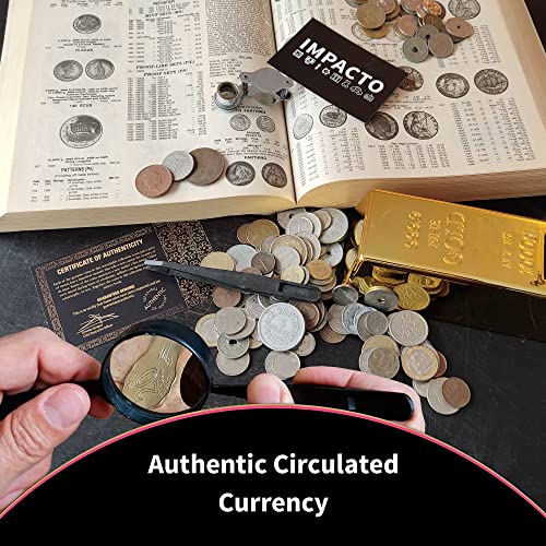 Rare World Coins Set in Coin Collection Piggy Bank