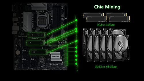 Biostar TZ590-BTC Duo LGA 1200 Mining Motherboard