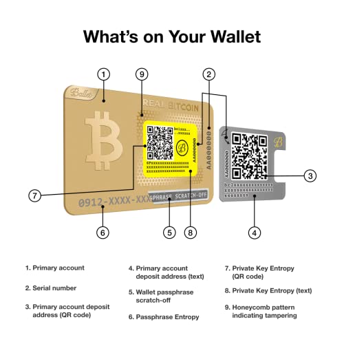 Ballet 3-Pack Crypto Cold Storage Card - NFT Support