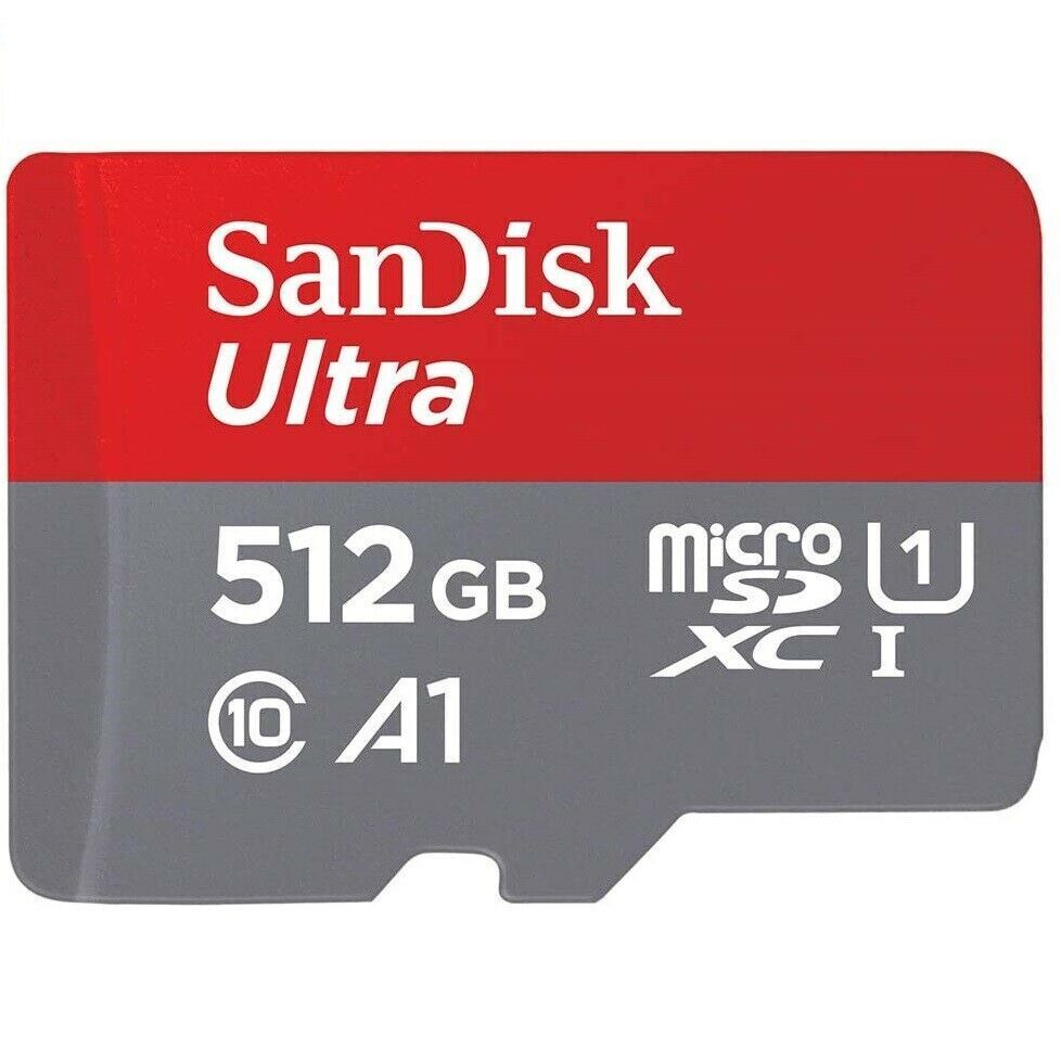Pentax compatible Sandisk Micro SD Cards