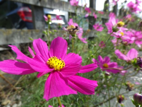 PENTAX Optio RZ18 in Pearl White