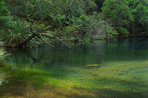 Pentax K-70 DSLR Camera with 18-135mm Lens