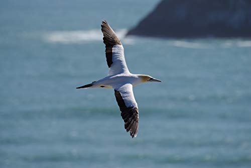 Pentax K-1 Mark II with 28-105mm Lens