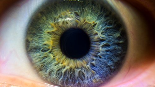 High Definition Macro Lens for DSLR's (58mm)