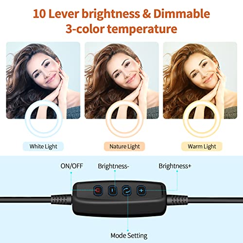 Compact Selfie Ring Light with Tripod Stand