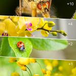 82mm Macro Filter Kit for Pentax Cameras