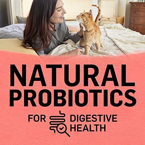 Natural Salmon Cat Food - 3lbs