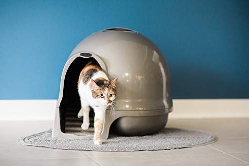 Booda Clean Step Cat Litter Box Dome - Pearl White