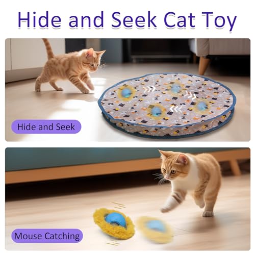 Interactive Cat Toy: Motion-Activated Chirping Hide-and-Seek game