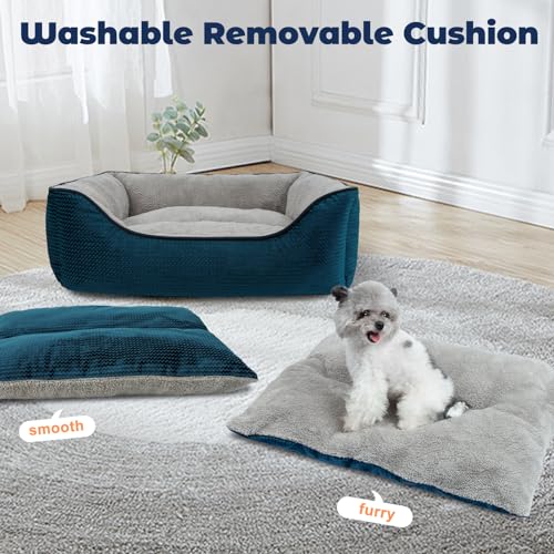 Blue Washable Cat Bed with Removable Cushion, Anti-Slip Bottom