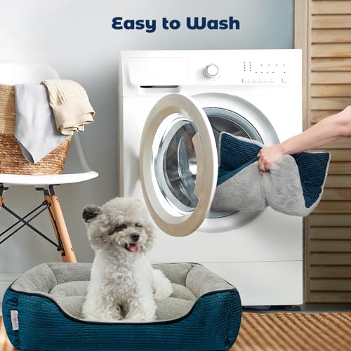 Blue Washable Cat Bed with Removable Cushion, Anti-Slip Bottom