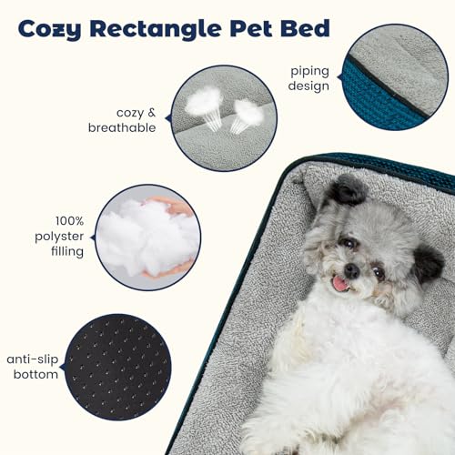 Blue Washable Cat Bed with Removable Cushion, Anti-Slip Bottom