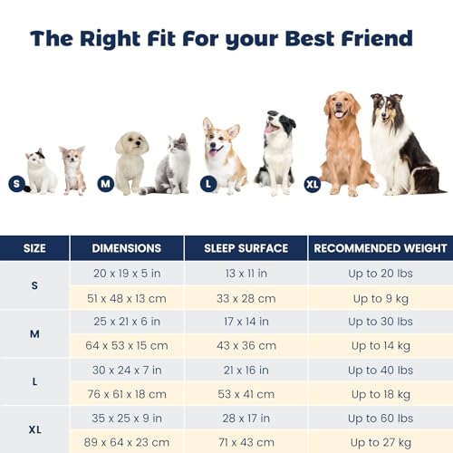 Blue Washable Cat Bed with Removable Cushion, Anti-Slip Bottom