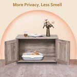 Barn Door Cat Litter Box Enclosure Furniture