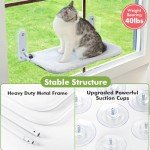Foldable Cat Window Perch Hammock Bed Duo