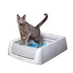 PetSafe ScoopFree Self-Cleaning Cat Litter Box
