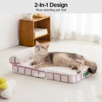Elevated Cat Couch Bed with Washable Cover