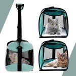 Airline-Approved Soft Cat Carrier for Travel
