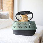 Small Dog & Cat Carrier Plastic Kennel, 19