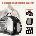 Collapsible Clear Cat Carrier Bag for Travel